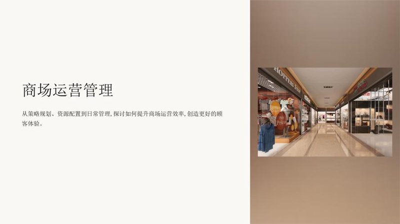 商业项目的运营与优化